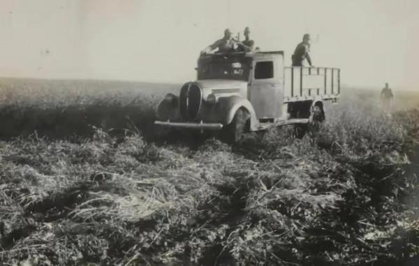 遠征軍伏擊了鬼子隊伍，擊斃了鬼子指揮官