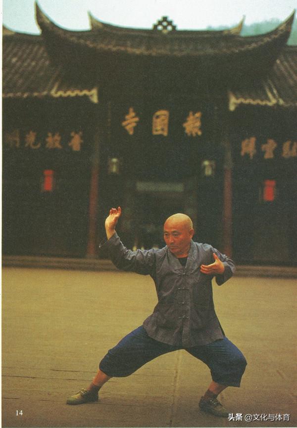 峨眉拳技擊法解析丨峨嵋樁、打上堵下