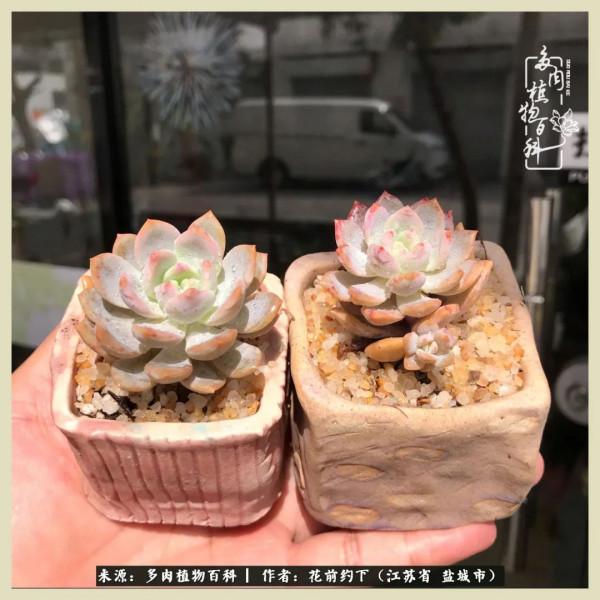 你儘管善良,福報都在路上 你儘管善良,福報都在路上