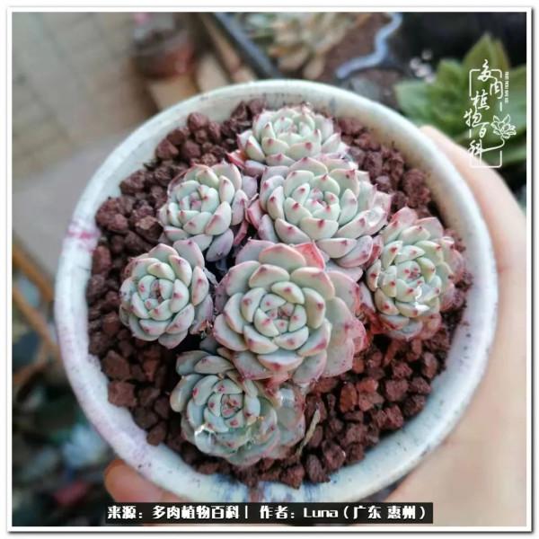 學會和解:與自己、與他人、與世界 學會和解:與自己、與他人、與世界