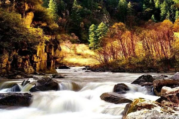 秋天，一定要去一次甘南！