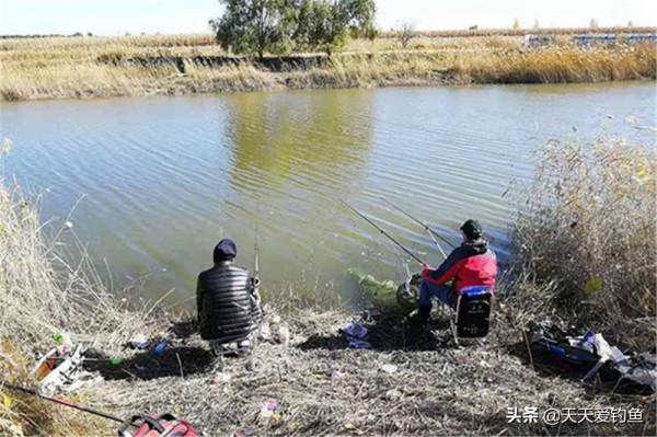冬季釣不到魚？不是因為天冷，而是因為天太熱，這種天氣別出門