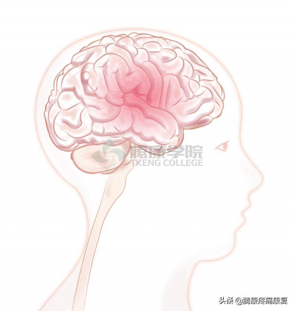 長期運動我們的大腦是這樣變化的