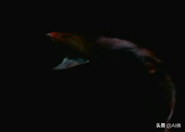 《地球》、《我們的星球》和其他自然紀錄片中的稀有動物