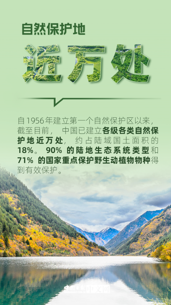 數說|保護生物多樣性 中國這樣做 數說|保護生物多樣性 中國這樣做