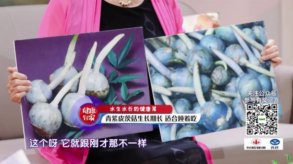 水中的“碧螺春”，滋陰潤肺、護腸通便、提高免疫，咳嗽、疲勞的人要常吃