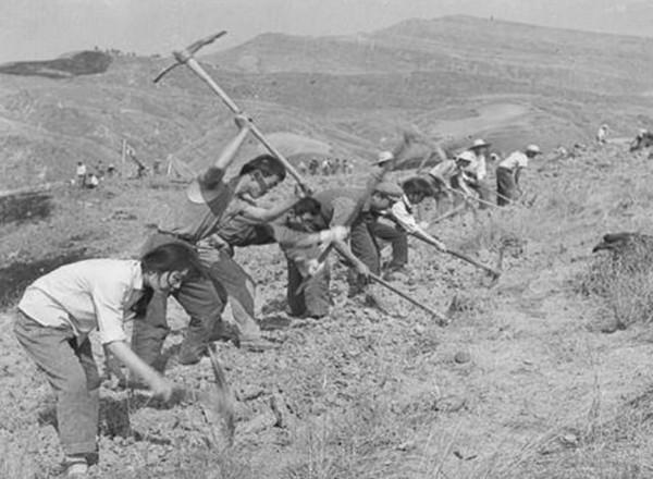 1943年毛主席視察南泥灣,王震請吃燒雞,主席飯後悄悄帶走雞架 1943年毛主席視察南泥灣,王震請吃燒雞,主席飯後悄悄帶走雞架