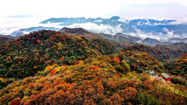 火速圍觀！新華社等多家媒體爭相報道雲端上的絕美秋色