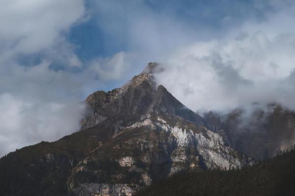 東達山埡口沒有停留，下山路邊拍了下高山草甸作留念