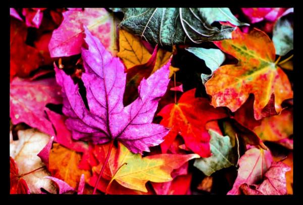 買入門級智慧商務投影儀,就選明基E520,不花冤枉錢 買入門級智慧商務投影儀,就選明基E520,不花冤枉錢