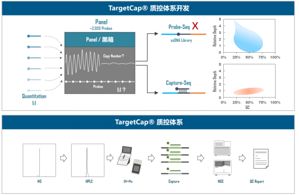 伯科高品質DNA合成技術實現多平臺靶向測序應用的領先水平 伯科高品質DNA合成技術實現多平臺靶向測序應用的領先水平