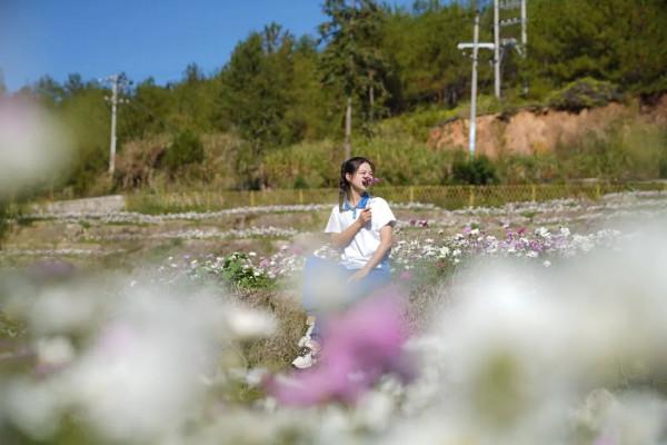 2021年最後一波!格桑花海來襲,古田花海歡樂谷8大歡樂專案等你來打卡!! 2021年最後一波!格桑花海來襲,古田花海歡樂谷8大歡樂專案等你來打卡!!