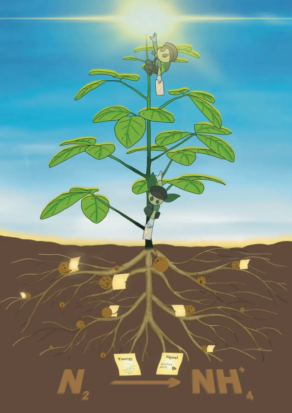 重大突破!河南大學發出首篇Science,破解難題,獲得國際關注! 重大突破!河南大學發出首篇Science,破解難題,獲得國際關注!