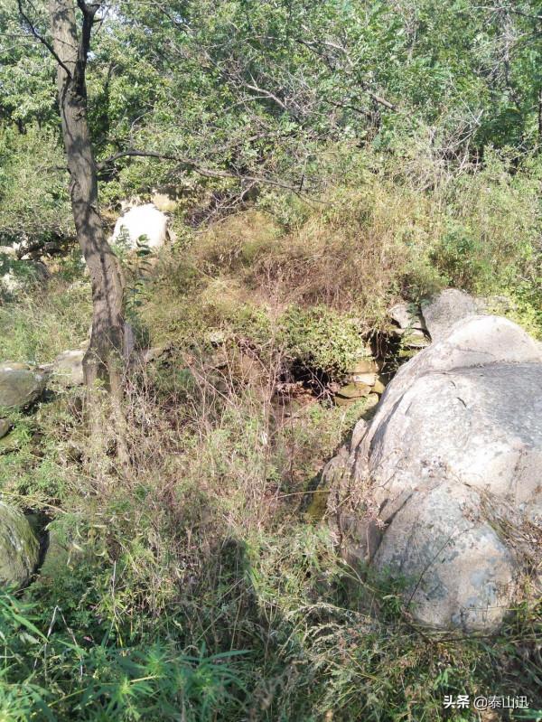 獨行泰山之走三梁