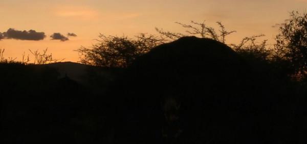 非洲原始部落:這群人結婚彩禮要給20頭牛加20只羊,你覺得多嗎? 非洲原始部落:這群人結婚彩禮要給20頭牛加20只羊,你覺得多嗎?