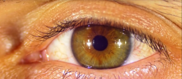 科普：你知道我們的身體每一分鐘會有哪些變化嗎？