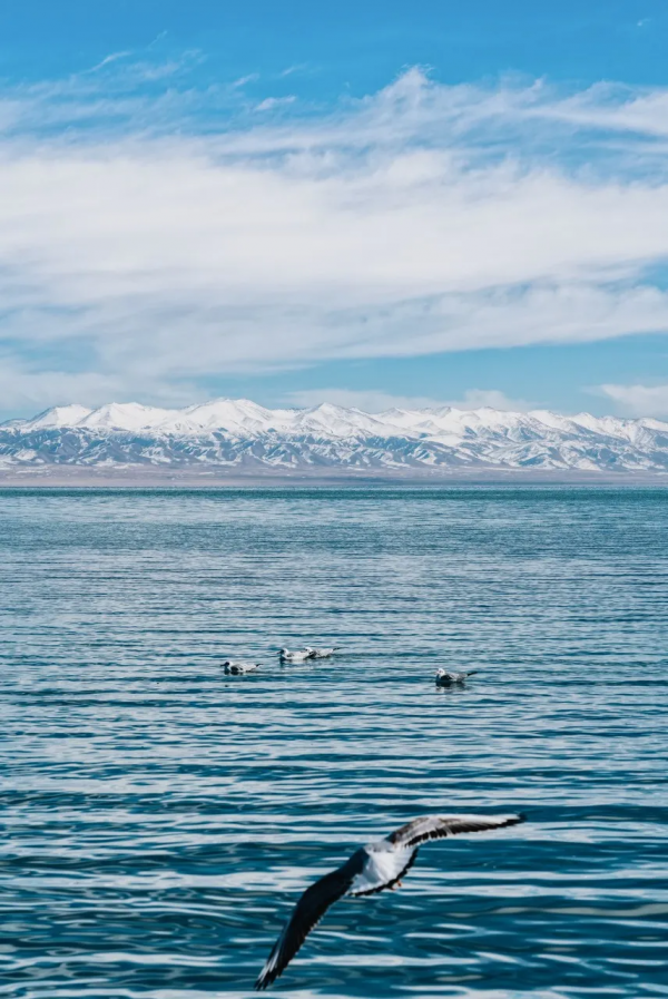 這個秋天，我想要一場去青海的旅行