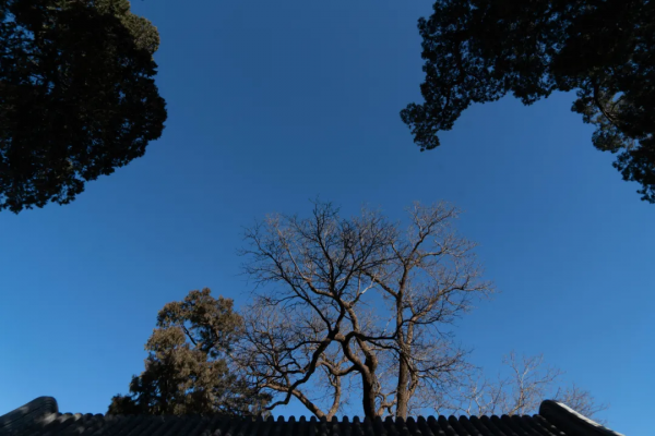 北京海淀：鳳凰嶺下龍泉寺