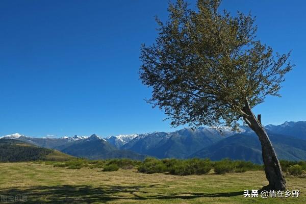 自然風景，治癒心情的那種美