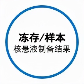 單細胞測序懸液製備失敗？別擔心，單細胞核測序來拯救你的樣本了