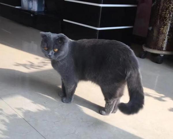 財寶兒你在哪？