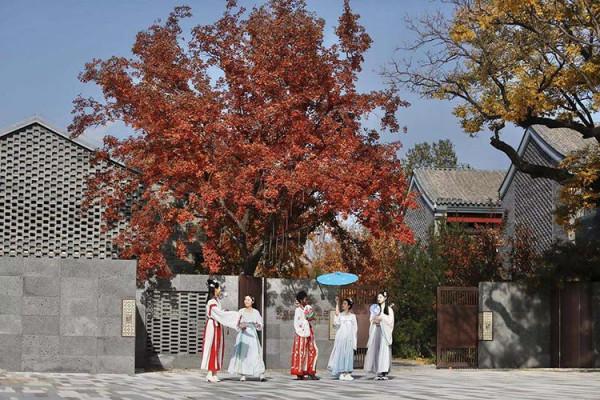 最愛北京，金秋如畫