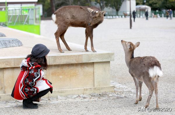 預算1萬元能去旅行的國家都在這了，遠比你想象的多