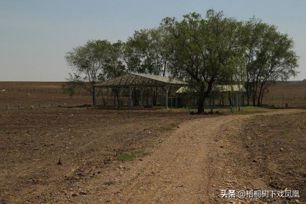 中國黑龍江發現一墓，內有10餘具人骨，韓國人上心日本人關注