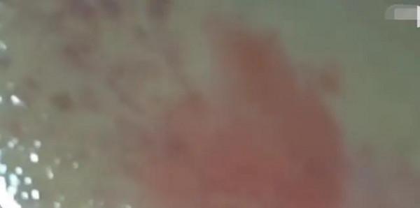 這才是真正的演員，你這算什麼呀？