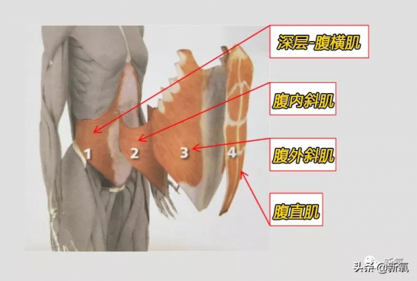 第一次聽說走路也能吸粉? 第一次聽說走路也能吸粉?