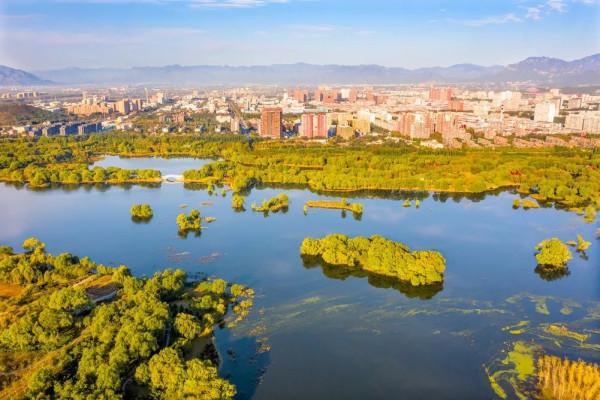 快來！您想欣賞的秋景，都在濱河公園