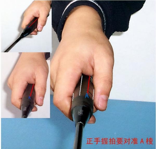 想要羽毛球儘快入門,更多的瞭解羽毛球的同志們,快進來看 想要羽毛球儘快入門,更多的瞭解羽毛球的同志們,快進來看