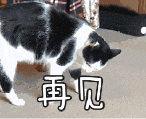 闢謠：貓糧含有動物副產品就是劣質糧？你家貓可能每天都在吃