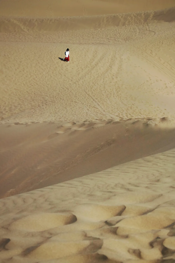 毫無懸念!今年最美的國內秋天,果然還是額濟納 毫無懸念!今年最美的國內秋天,果然還是額濟納