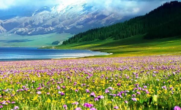 國內哪些地方最適合女生旅行?收下這份清單,馬上就可以出發 國內哪些地方最適合女生旅行?收下這份清單,馬上就可以出發