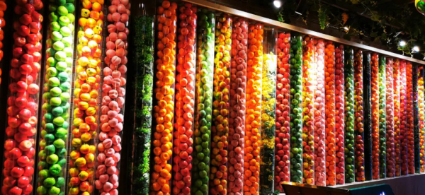 此生必去的新疆怎麼玩？看完這篇就夠了