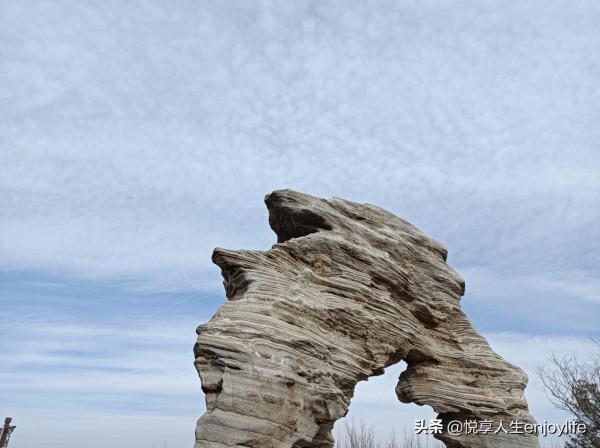 通州綠心森林公園南有個超大公園，免費停車免門票免費滑冰