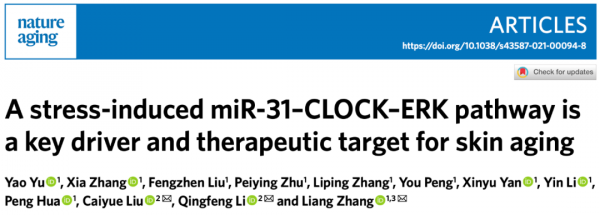 《自然·衰老》：用抗癌的方式抗衰老？中國科學家發現，已獲批的MAPK/ERK抑制劑或可以防止面板衰老丨科學大發現