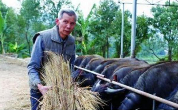 毛主席警衛員李連慶:76歲放棄副軍級生活,拿著積蓄回鄉帶村脫貧 毛主席警衛員李連慶:76歲放棄副軍級生活,拿著積蓄回鄉帶村脫貧