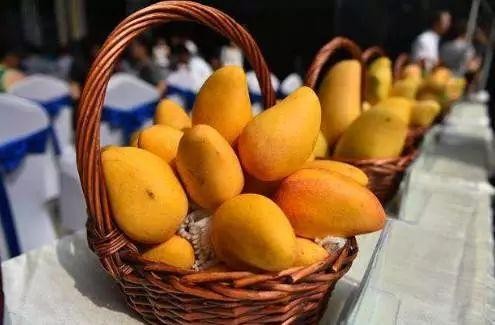 芒果是皺紋的&OpenCurlyDoubleQuote;發物&rdquo;？這3種水果，女性平時要少吃，或加重衰老