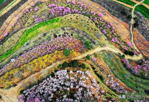 甘肅這些景點的名字連起來,居然是一個愛情故事 甘肅這些景點的名字連起來,居然是一個愛情故事