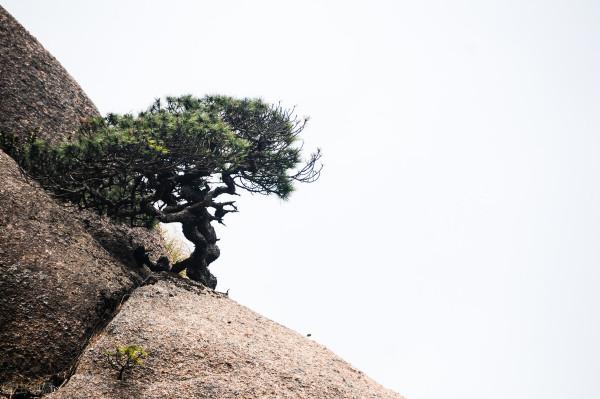 自強不息:星光不問趕路人,只爭朝夕 自強不息:星光不問趕路人,只爭朝夕