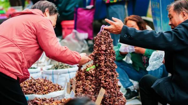 全國秋天神仙菜市場大賞 全國秋天神仙菜市場大賞