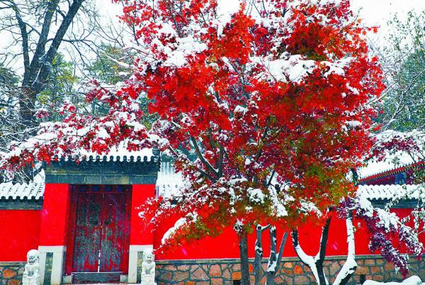 航拍大片!看湖光山色染上雪景,立冬初雪落滿北京 航拍大片!看湖光山色染上雪景,立冬初雪落滿北京