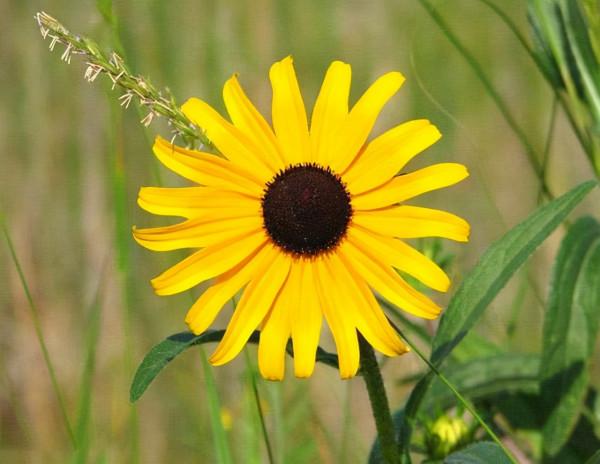 人的高階清醒：把不尊重自己的人，請出生命