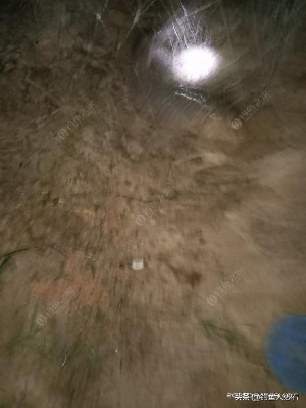 夜釣,上半夜好還是下半夜好?歡迎大家來探討 夜釣,上半夜好還是下半夜好?歡迎大家來探討