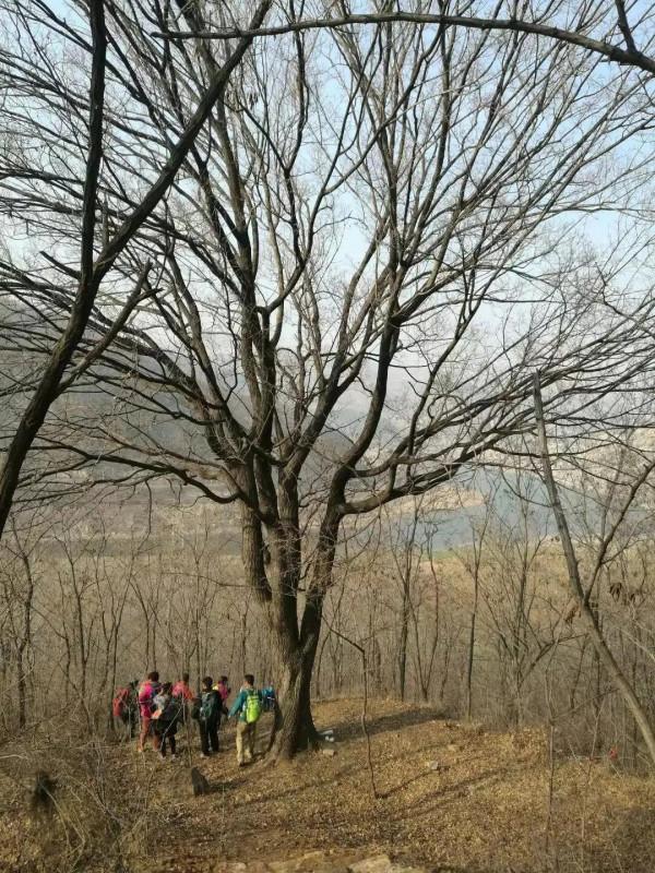 唐莊黃石屋聖峪口攀爬 唐莊黃石屋聖峪口攀爬