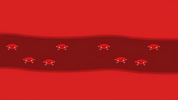 天冷後,除了少吃點肉以外,還要注意多吃這4種補血食物,強身體 天冷後,除了少吃點肉以外,還要注意多吃這4種補血食物,強身體