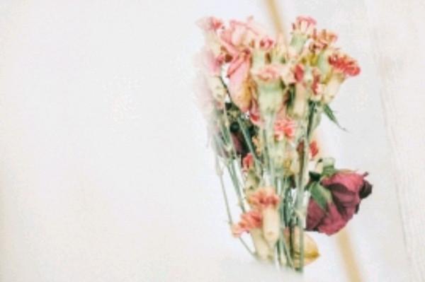 散文:老了,就這樣安靜地生活 散文:老了,就這樣安靜地生活