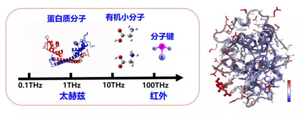 MIT歸國學者攻克國產太赫茲頻段近場顯微系統 MIT歸國學者攻克國產太赫茲頻段近場顯微系統